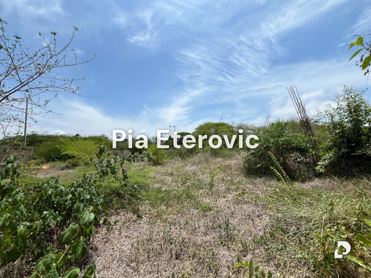 Land in Chichiriviche – 7