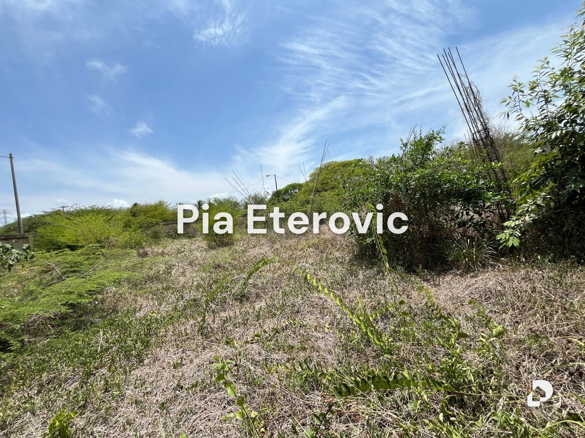 Land in Chichiriviche – 6