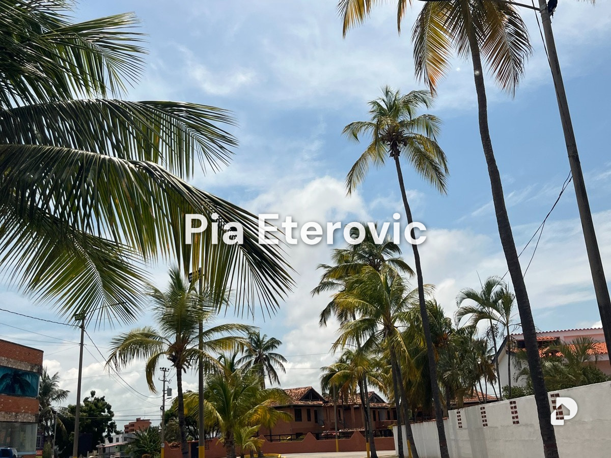 Land in Chichiriviche – 9