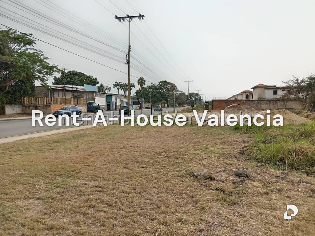 Land in Flor Amarillo, Valencia – 4