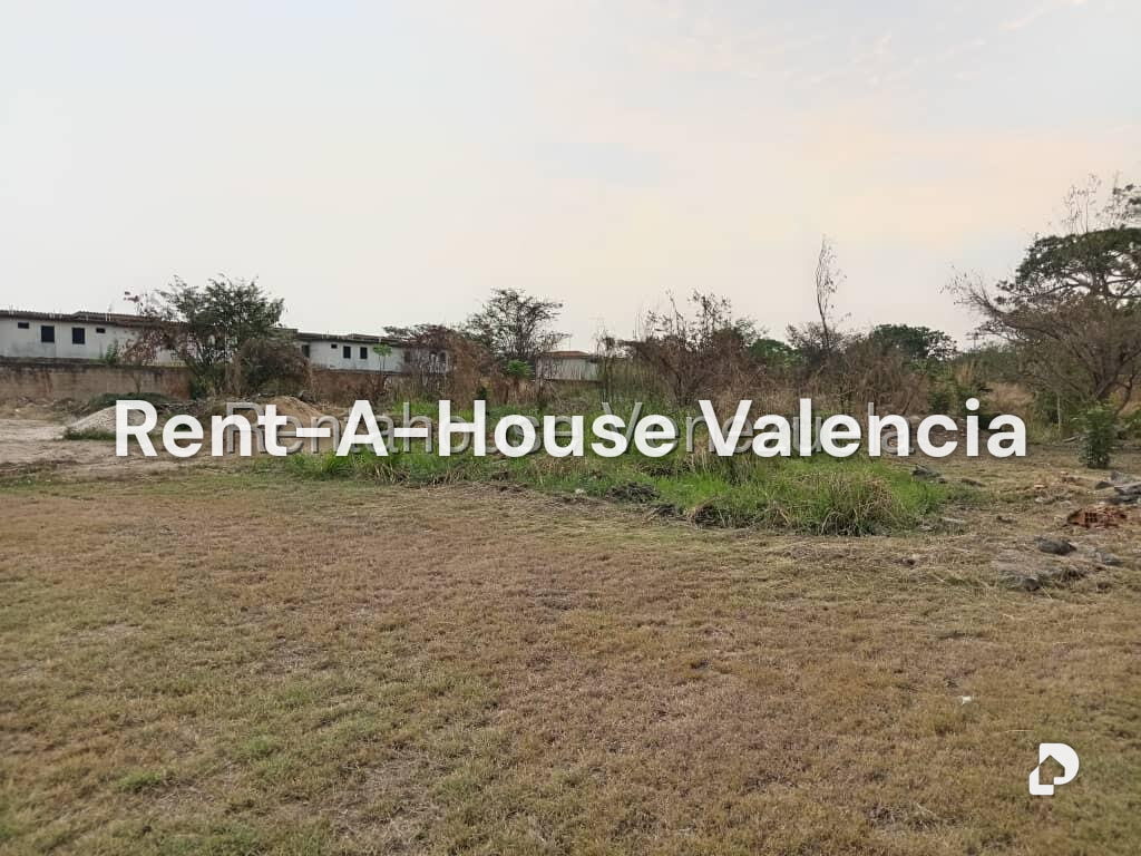 Land in Flor Amarillo, Valencia – 9
