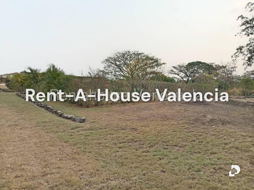 Land in Flor Amarillo, Valencia – 11