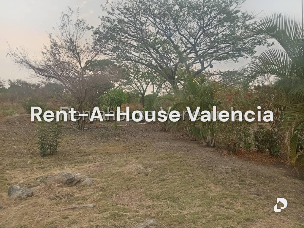 Land in Flor Amarillo, Valencia – 3