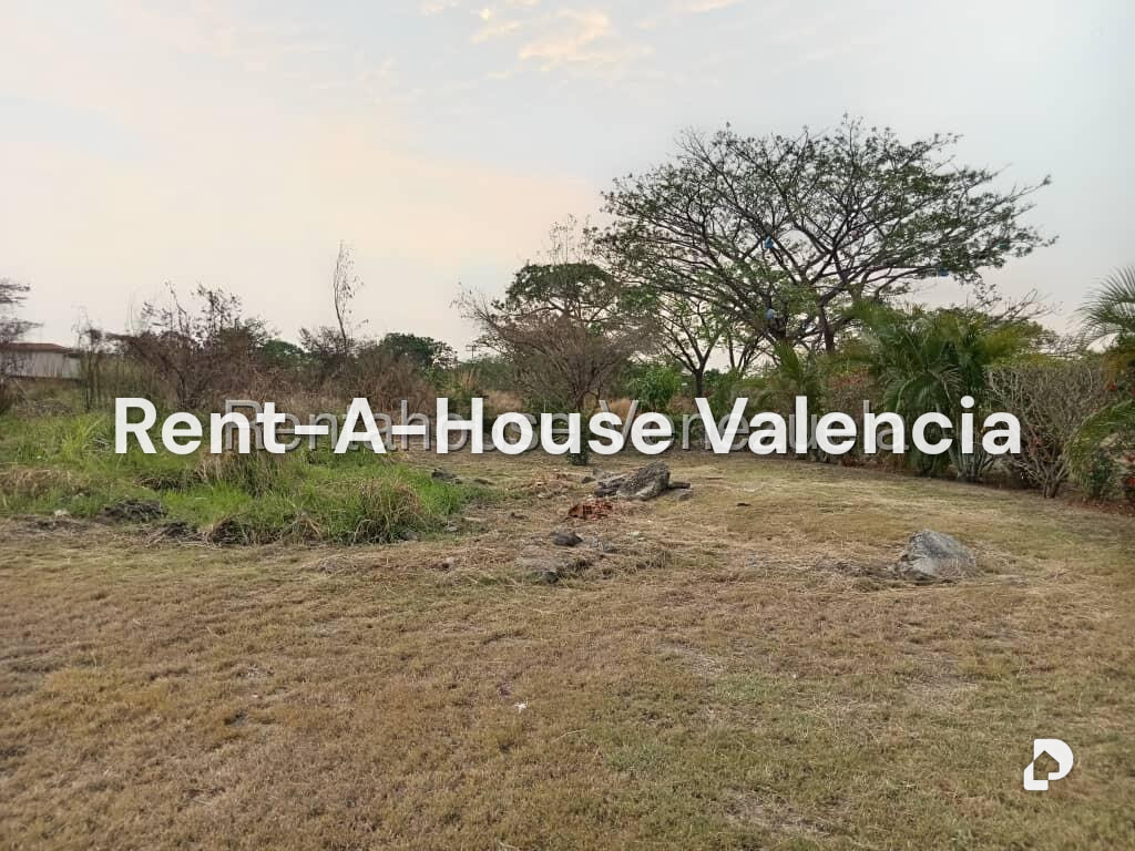 Land in Flor Amarillo, Valencia – 13