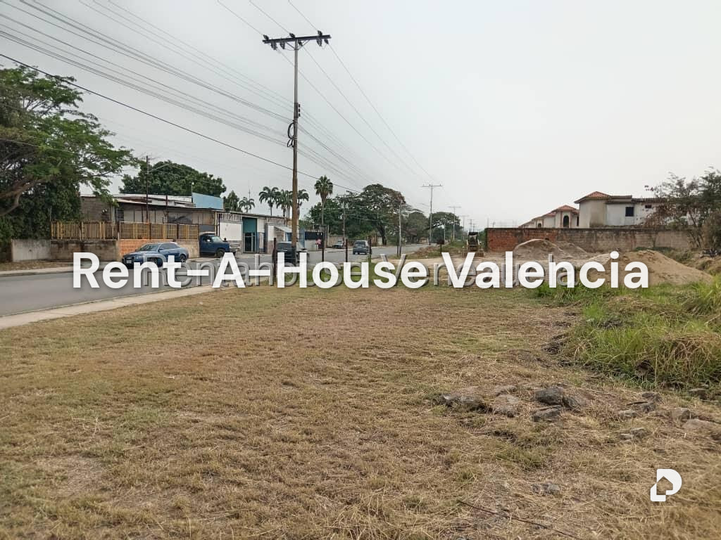 Land in Flor Amarillo, Valencia – 1