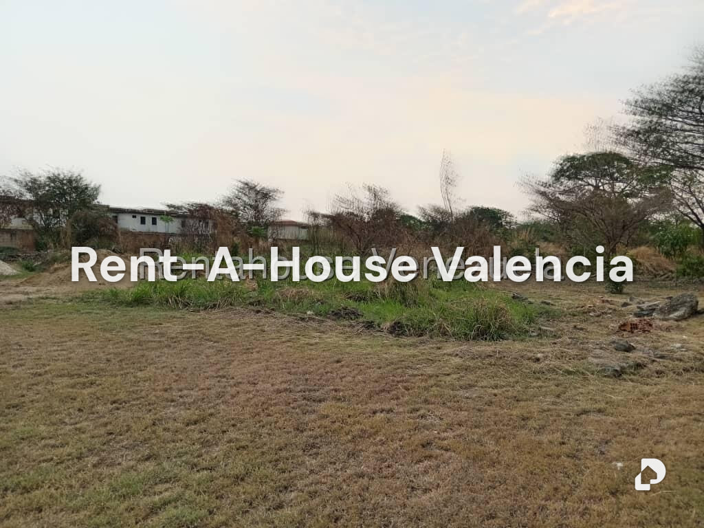 Land in Flor Amarillo, Valencia – 7
