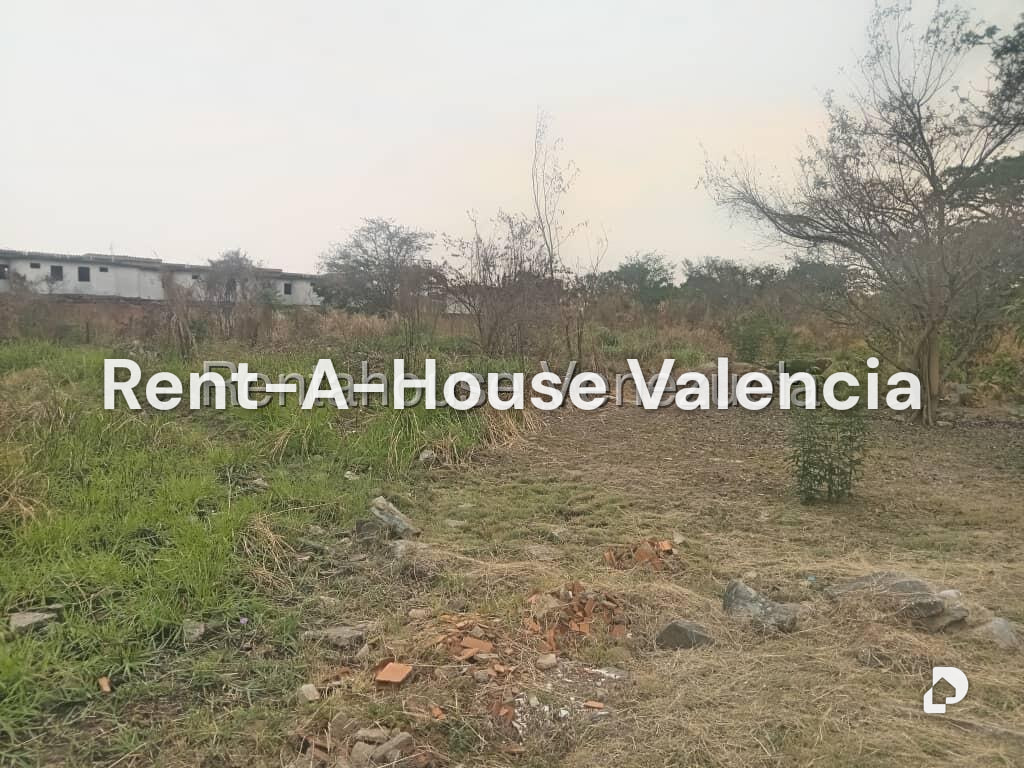 Land in Flor Amarillo, Valencia – 2