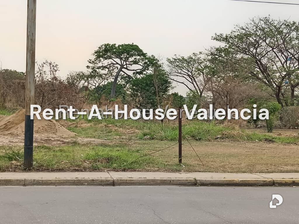 Land in Flor Amarillo, Valencia – 18