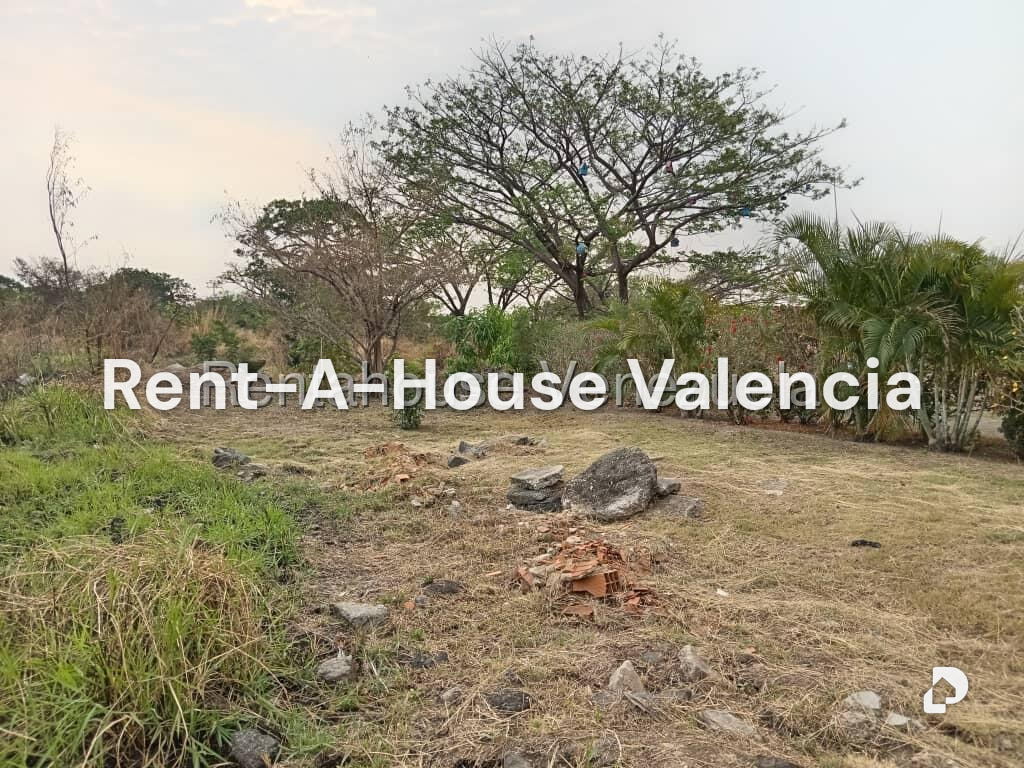 Land in Flor Amarillo, Valencia – 6