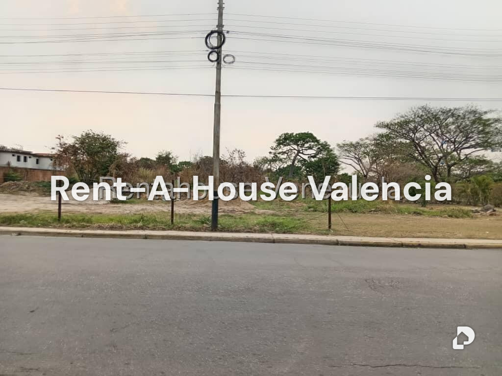 Land in Flor Amarillo, Valencia – 19