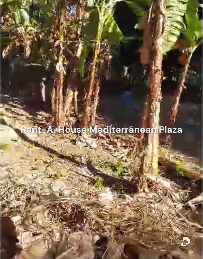 Terreno en El Guayabal, Naguanagua – 7