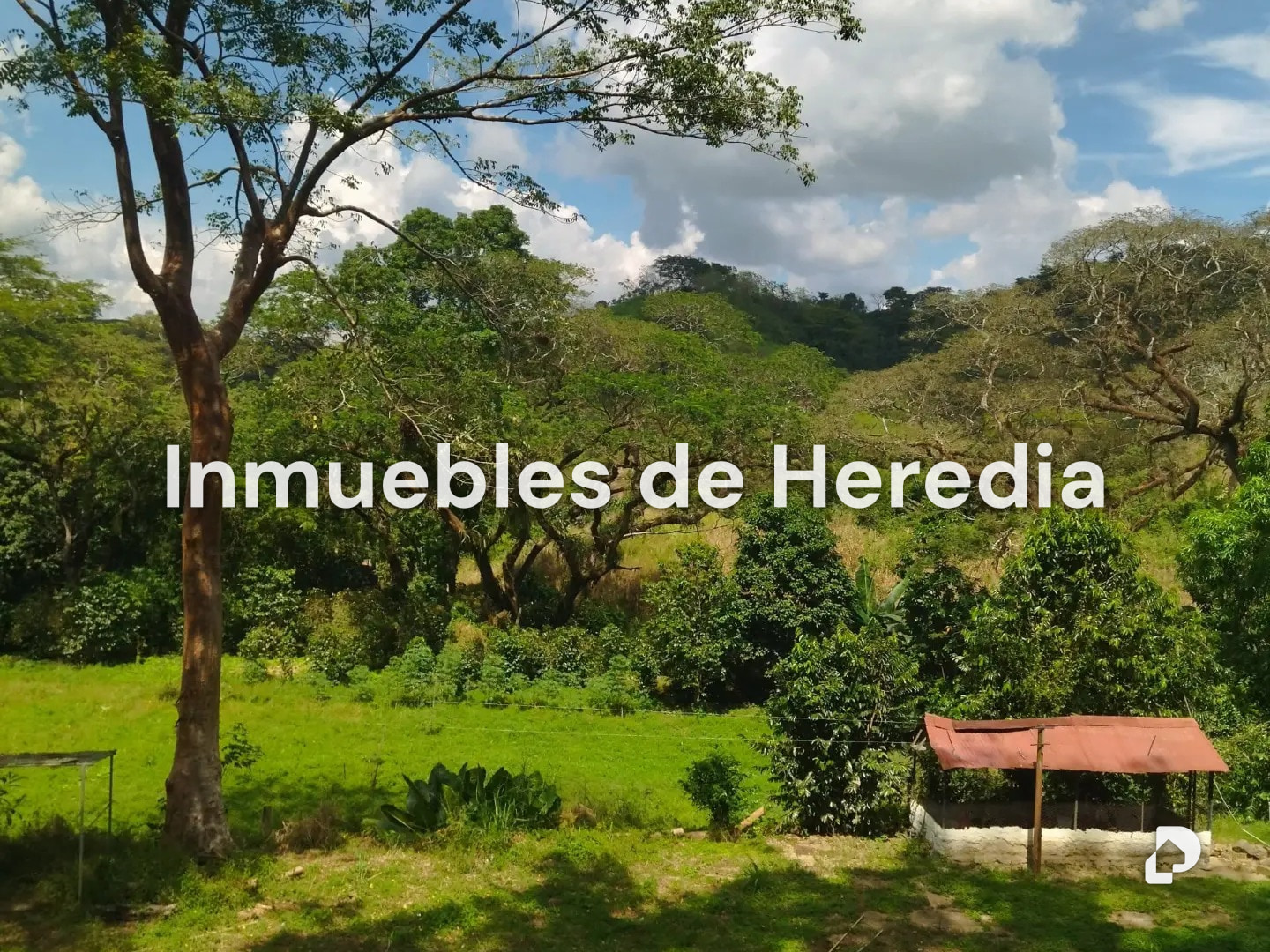 Finca en El Naipe – 4