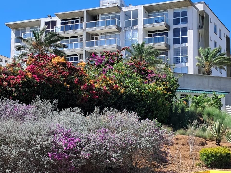 Apartamento en Porlamar - 1