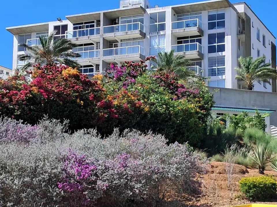 Apartamento en Pampatar, Porlamar - 1