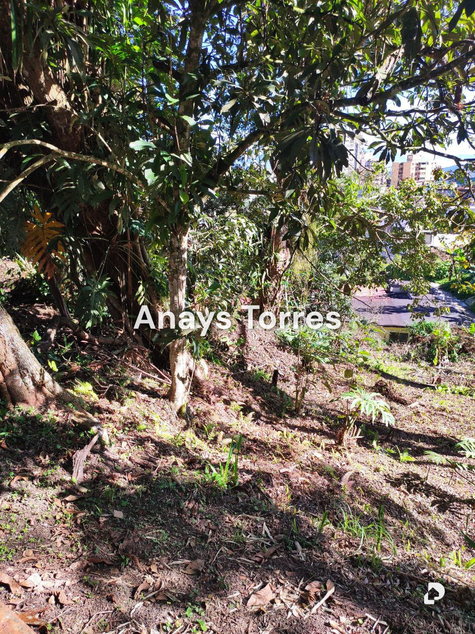 Land in San Antonio de Los Altos, Altos Mirandinos – 19