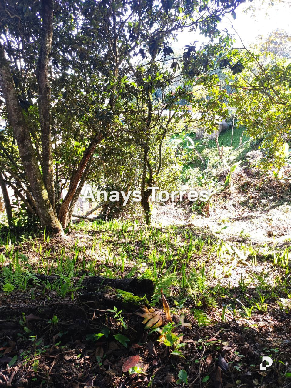 Land in San Antonio de Los Altos, Altos Mirandinos – 7