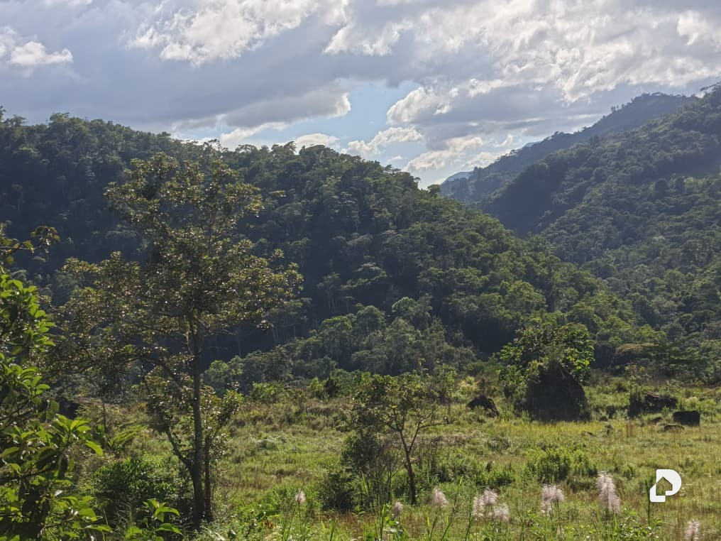 Casa en Caripe – 3