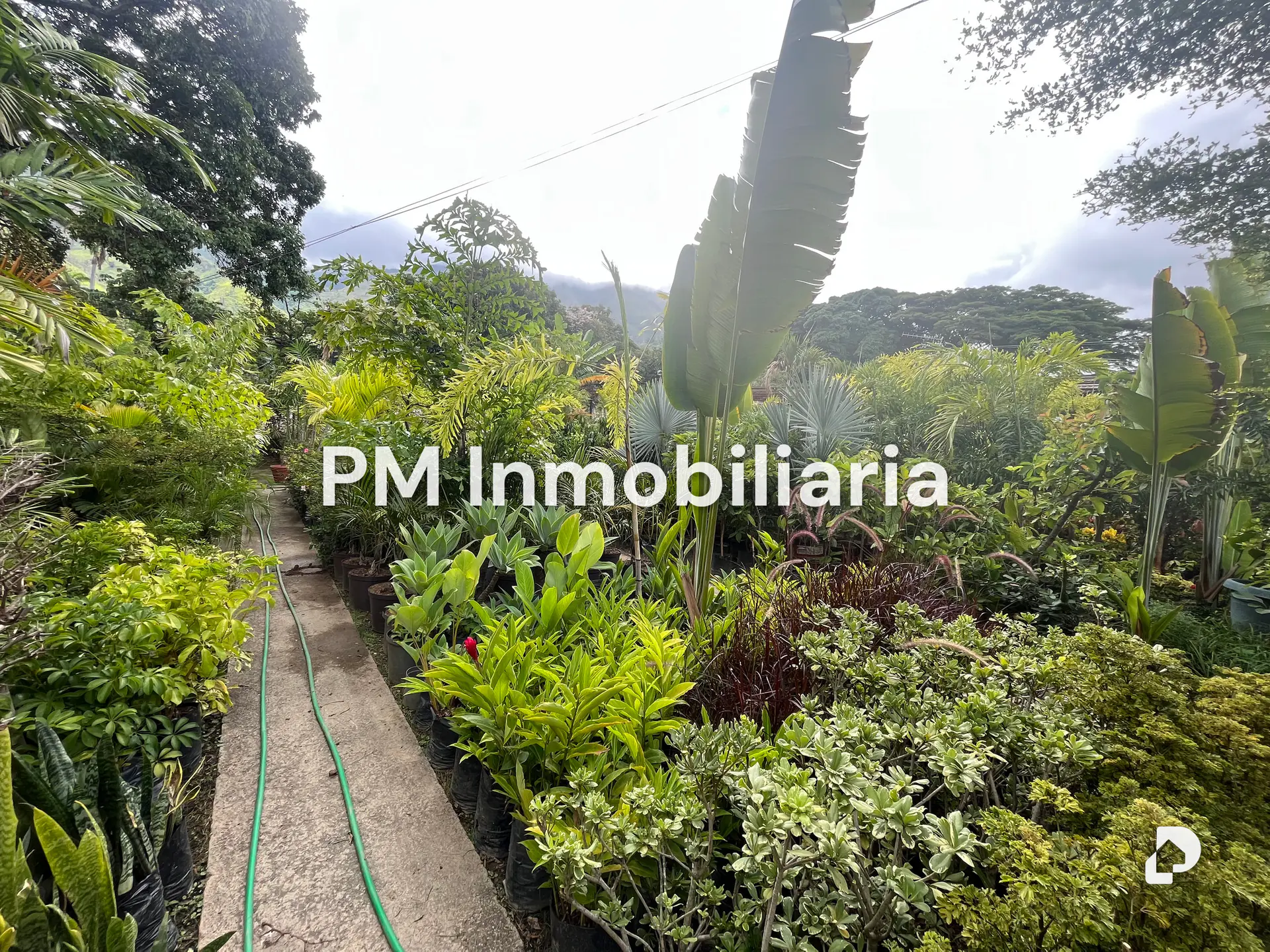 Terreno en Los Chorros, Caracas – 2