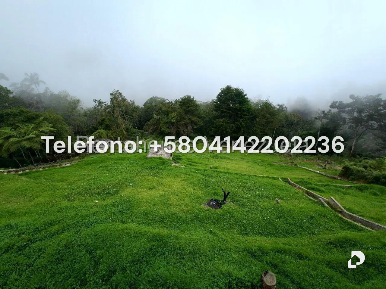 Land in El Pozo, Carayaca – 24