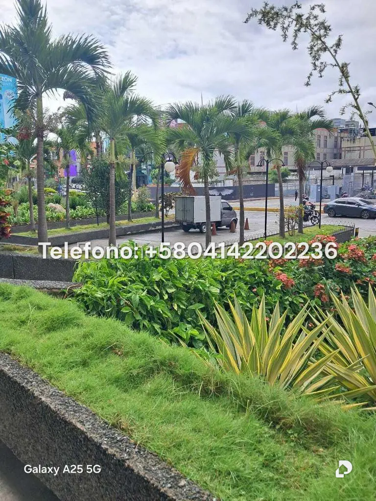 Local comercial en Chacao, Caracas – 3