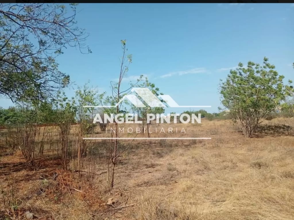 Terreno en Maracaibo - 1