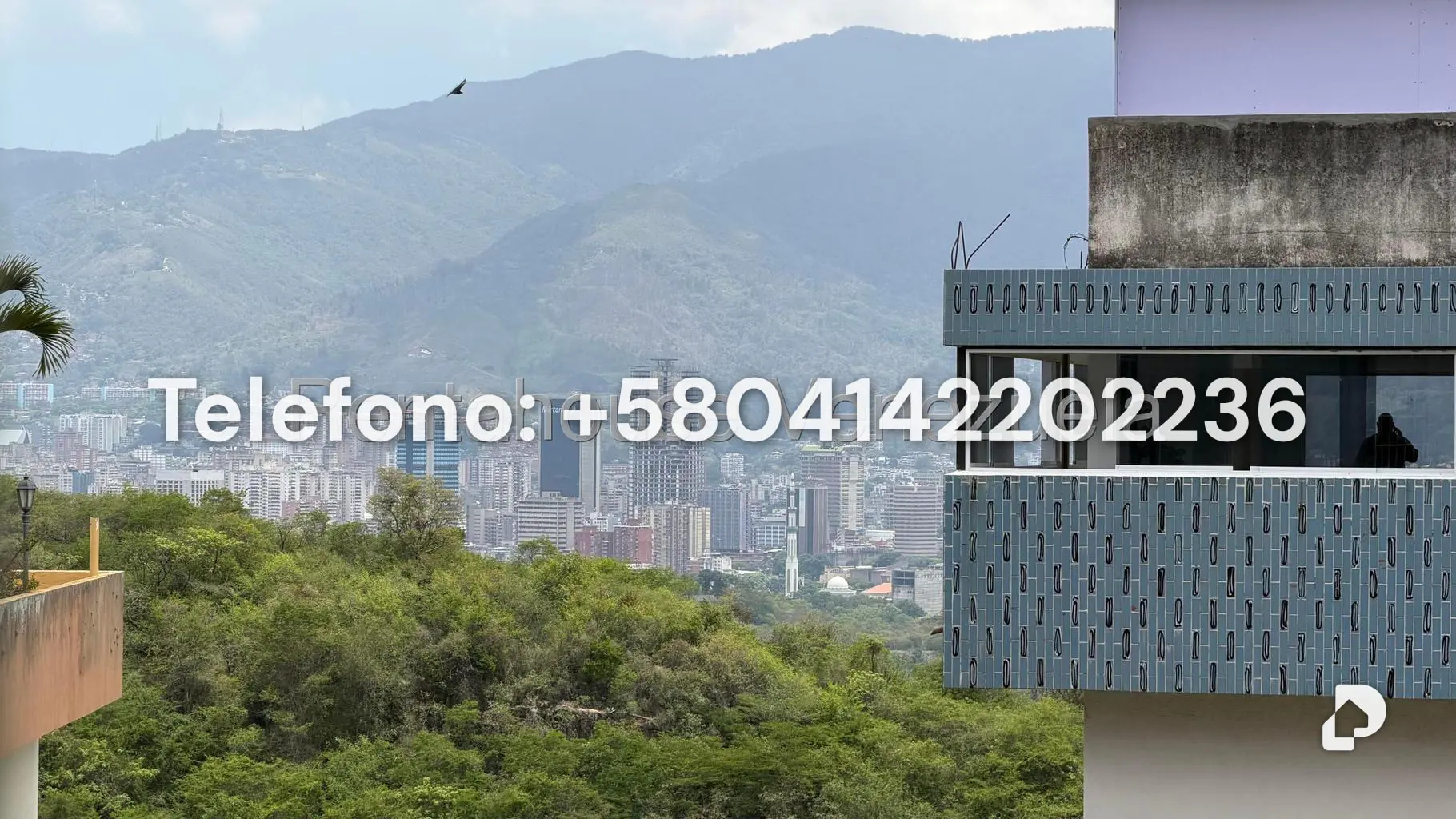 Apartamento en Colinas de Bello Monte, Caracas – 14