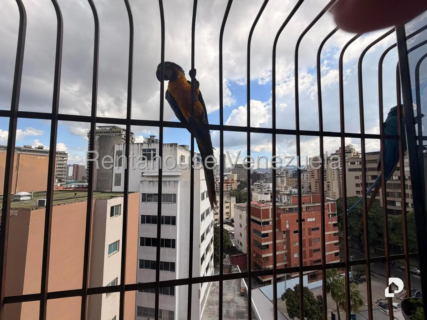 Apartamento en San Bernardino, Caracas – 40