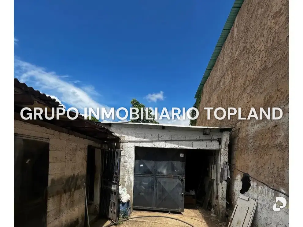 Warehouse in La Asunción – 7