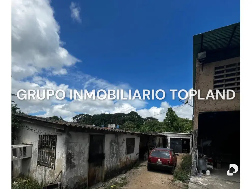 Warehouse in La Asunción – 6