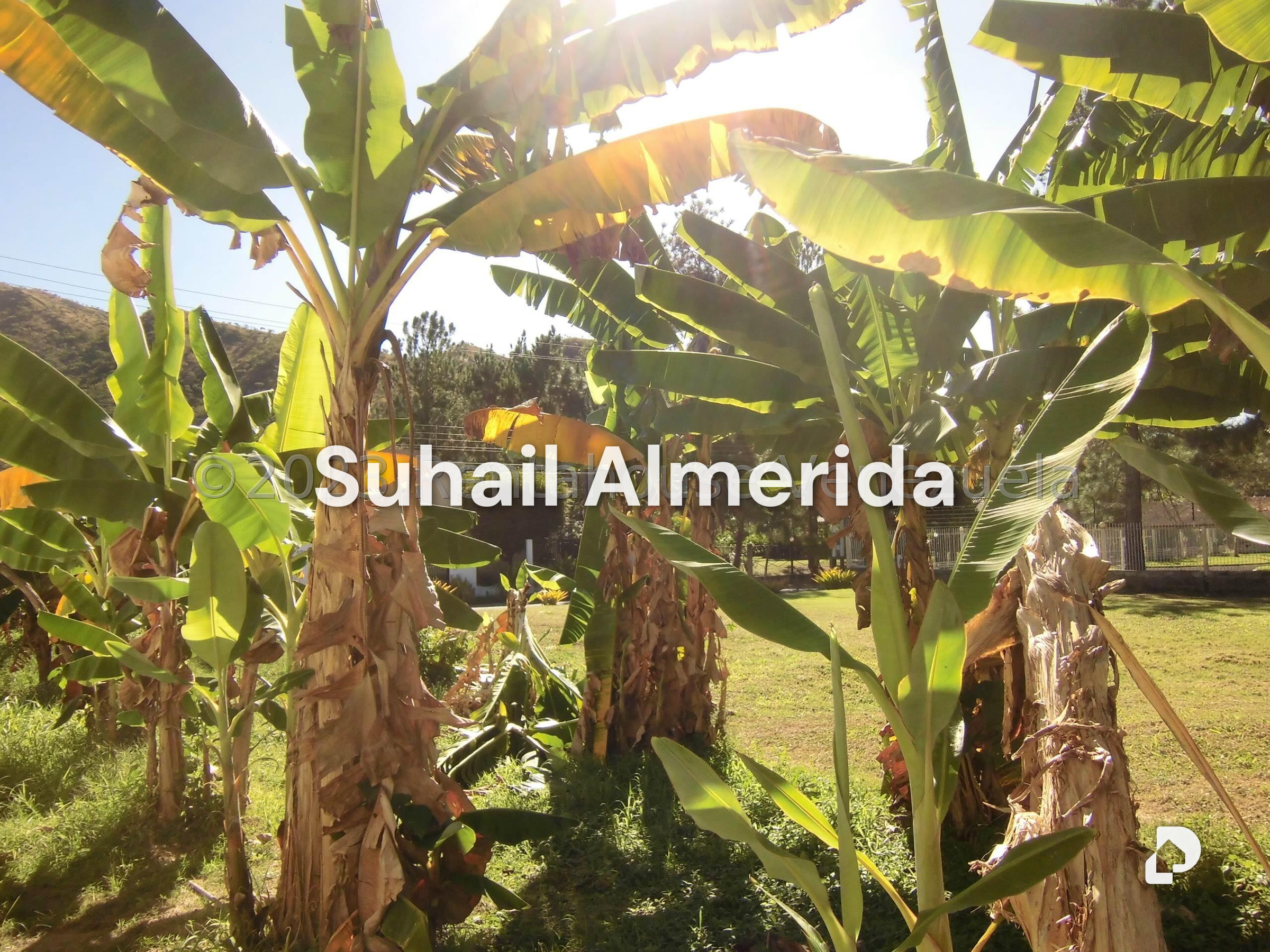 Terreno en La Cumaca, San Diego – 10