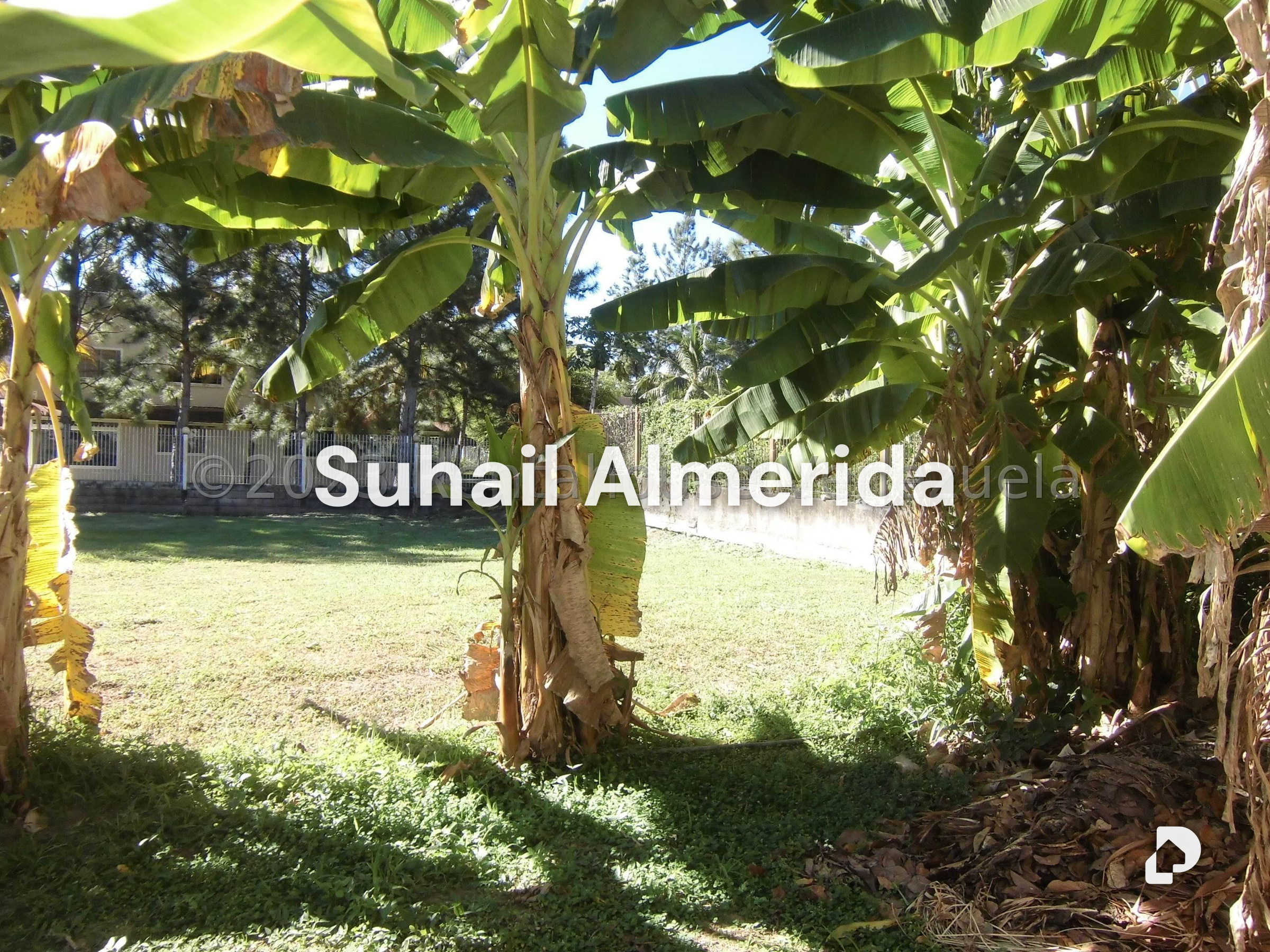 Terreno en La Cumaca, San Diego – 11