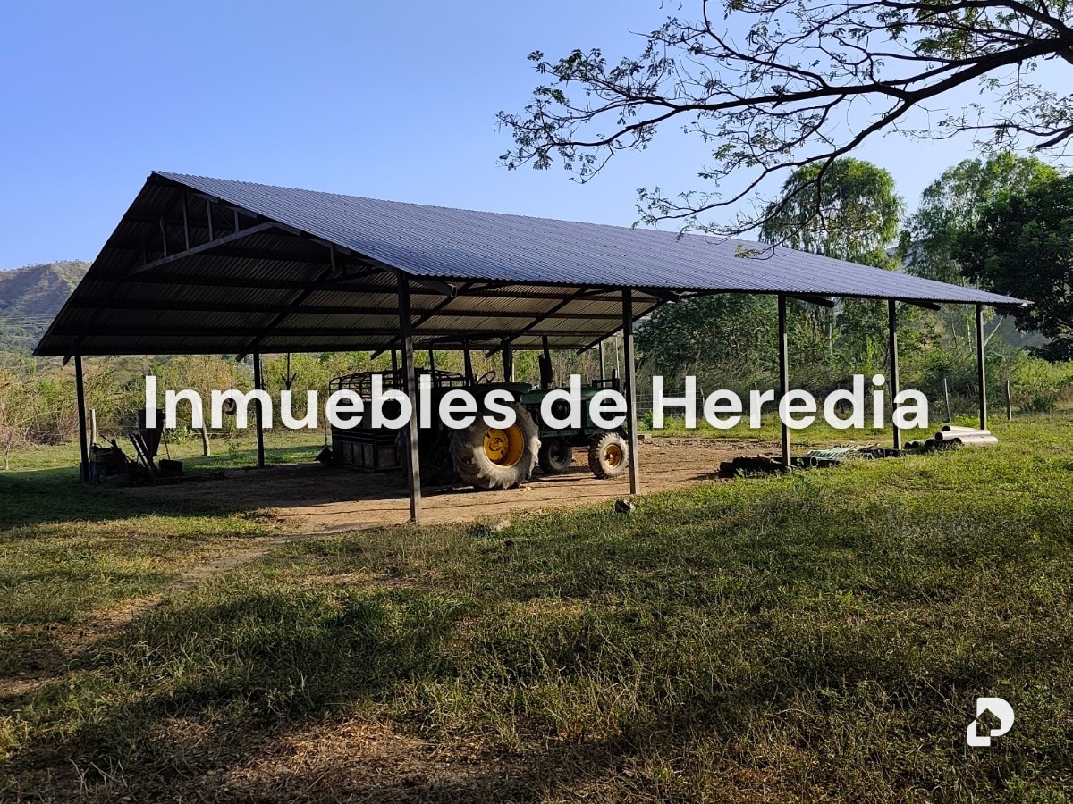Finca en San Carlos – 2