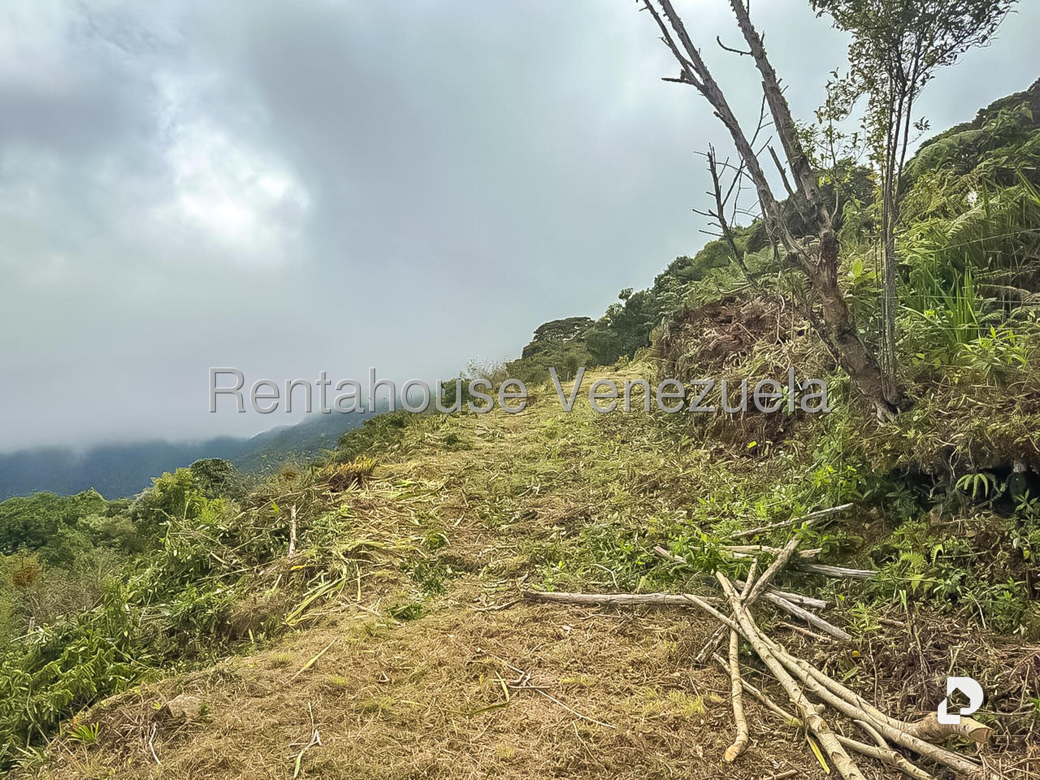 Local comercial en Galipan, Caracas – 28