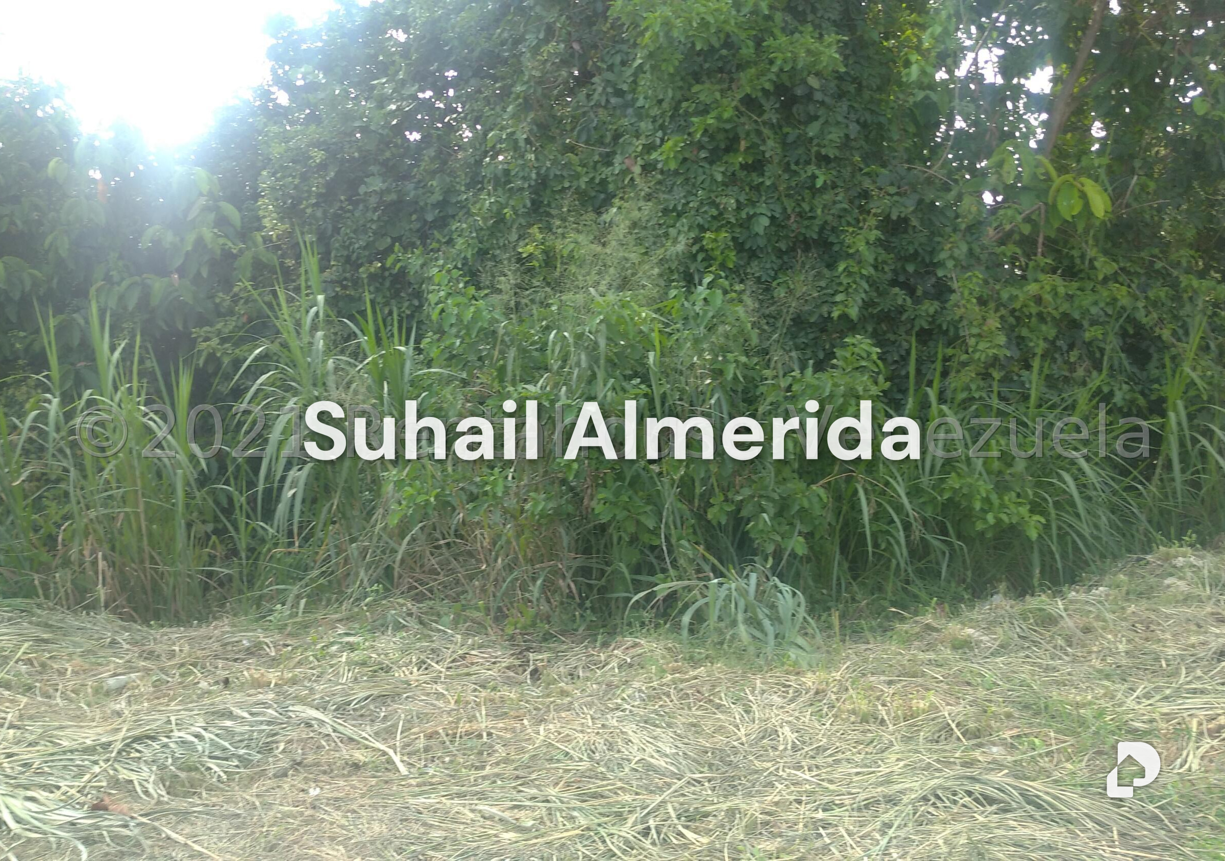 Terreno en Pueblo de San Diego, San Diego – 8