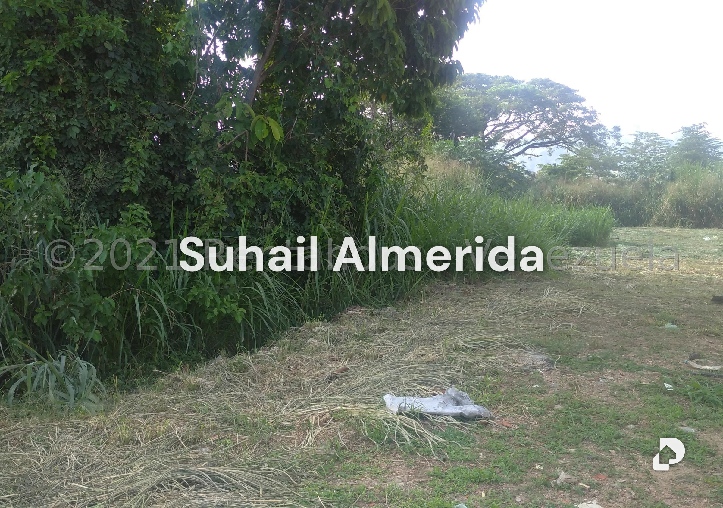 Terreno en Pueblo de San Diego, San Diego – 6