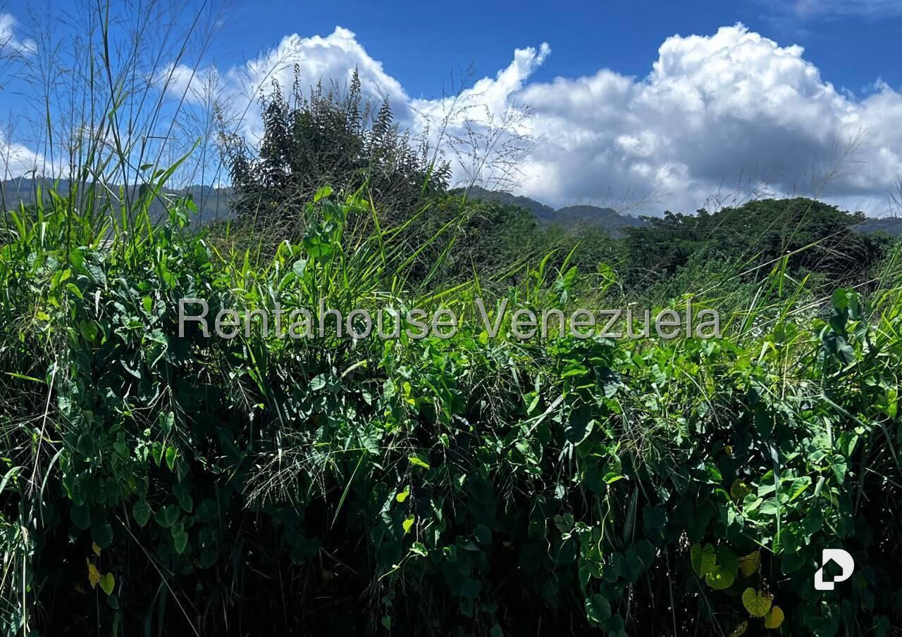 Terreno en El Ingenio, Guatire