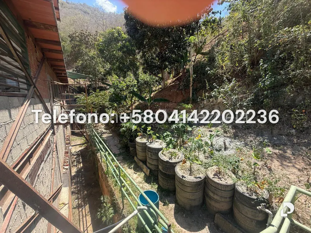 Galpón en Mampote, Guarenas – 27