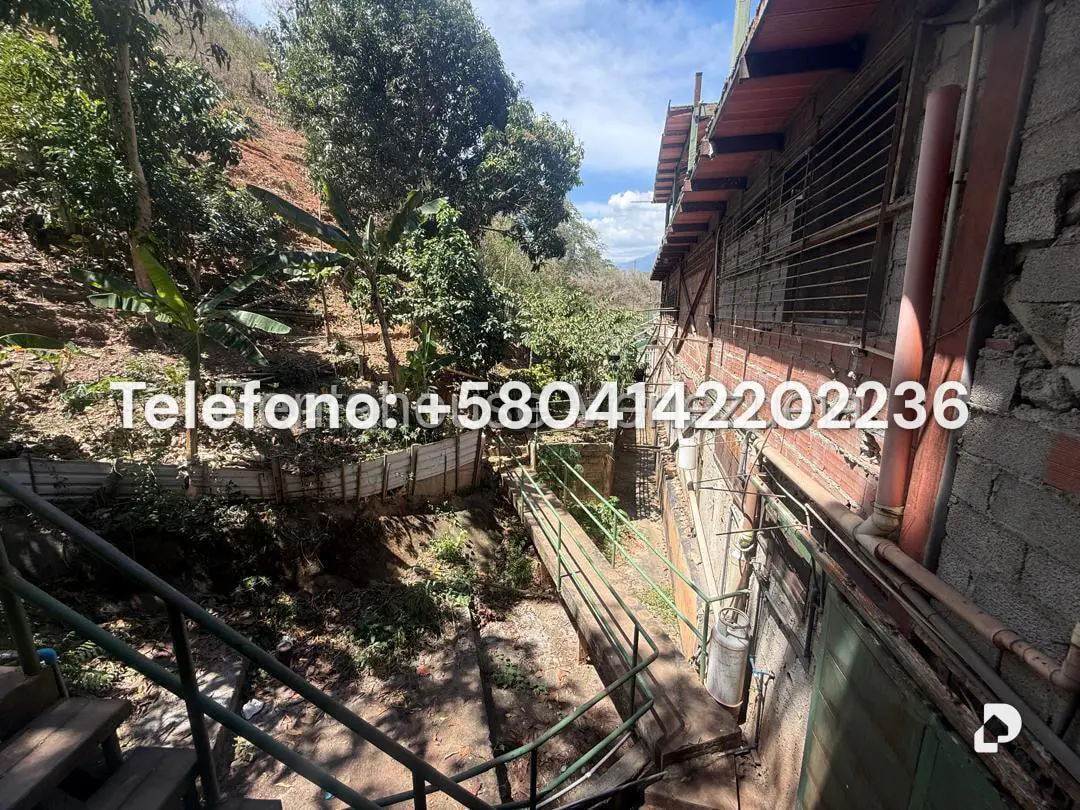 Galpón en Mampote, Guarenas – 10