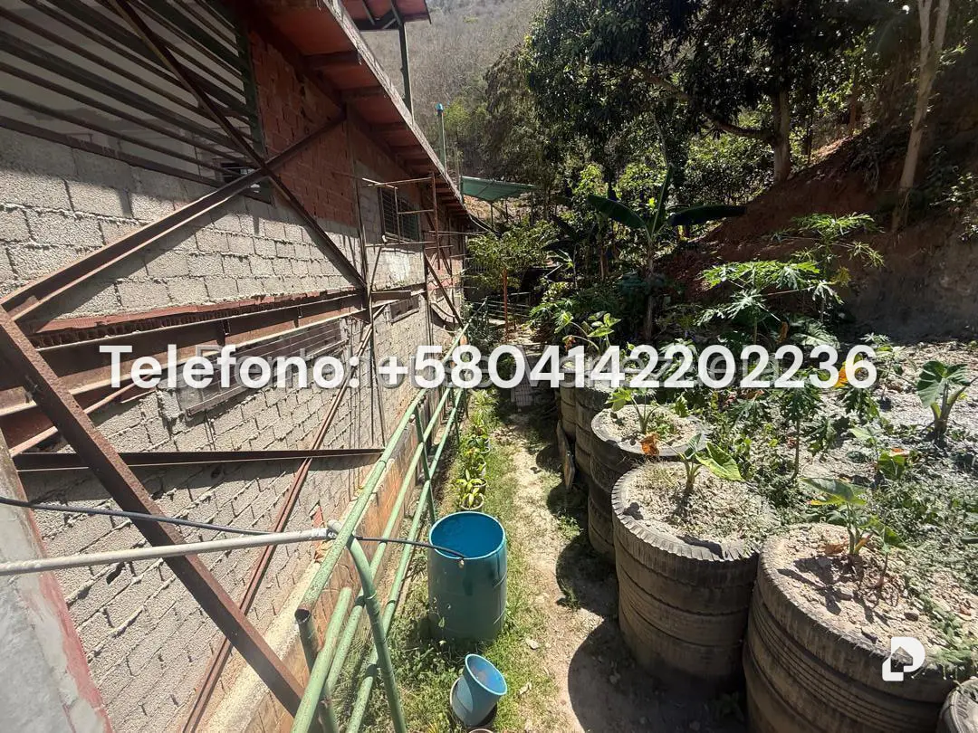 Galpón en Mampote, Guarenas – 30