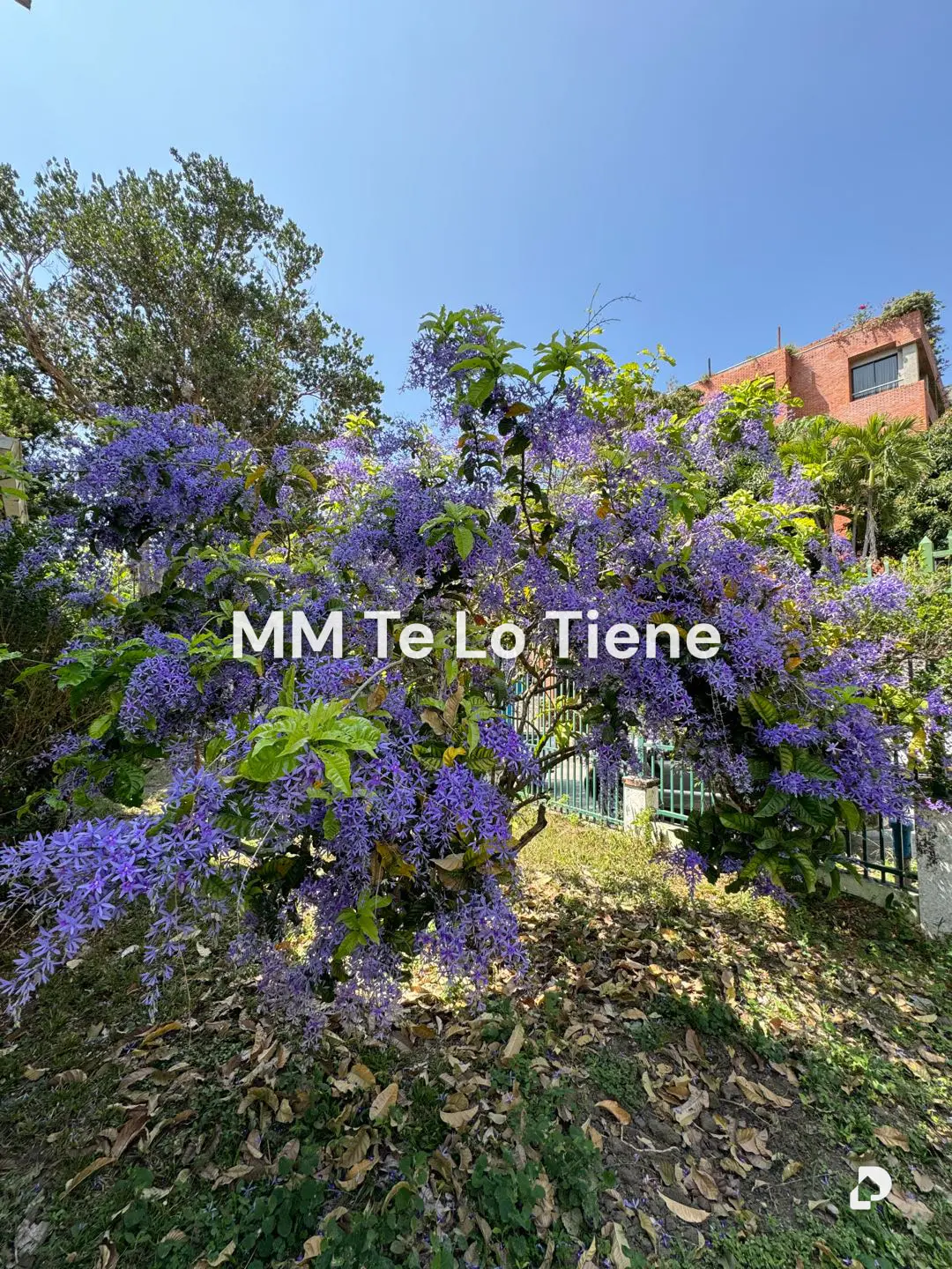 House in Altamira, Caracas – 16
