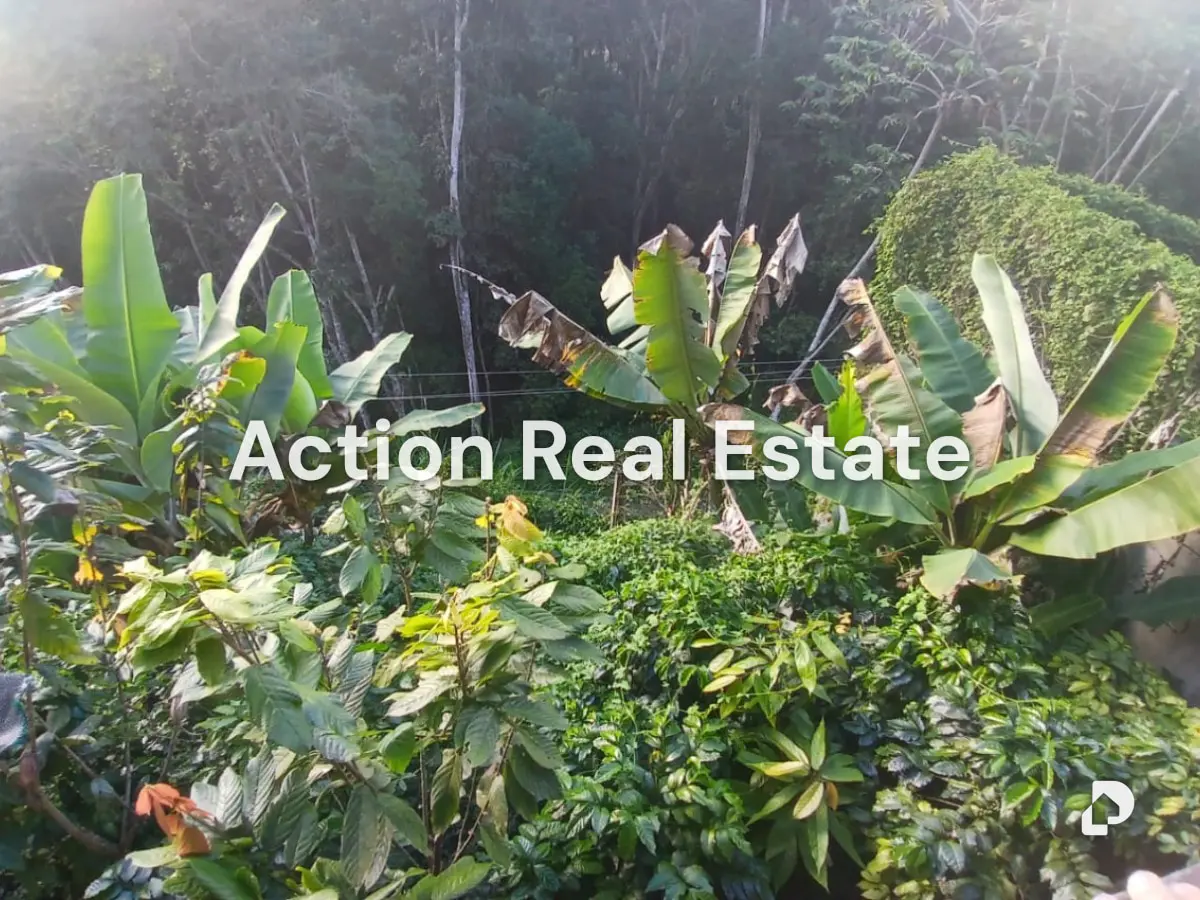 Terreno en San Antonio de Los Altos, Altos Mirandinos – 3