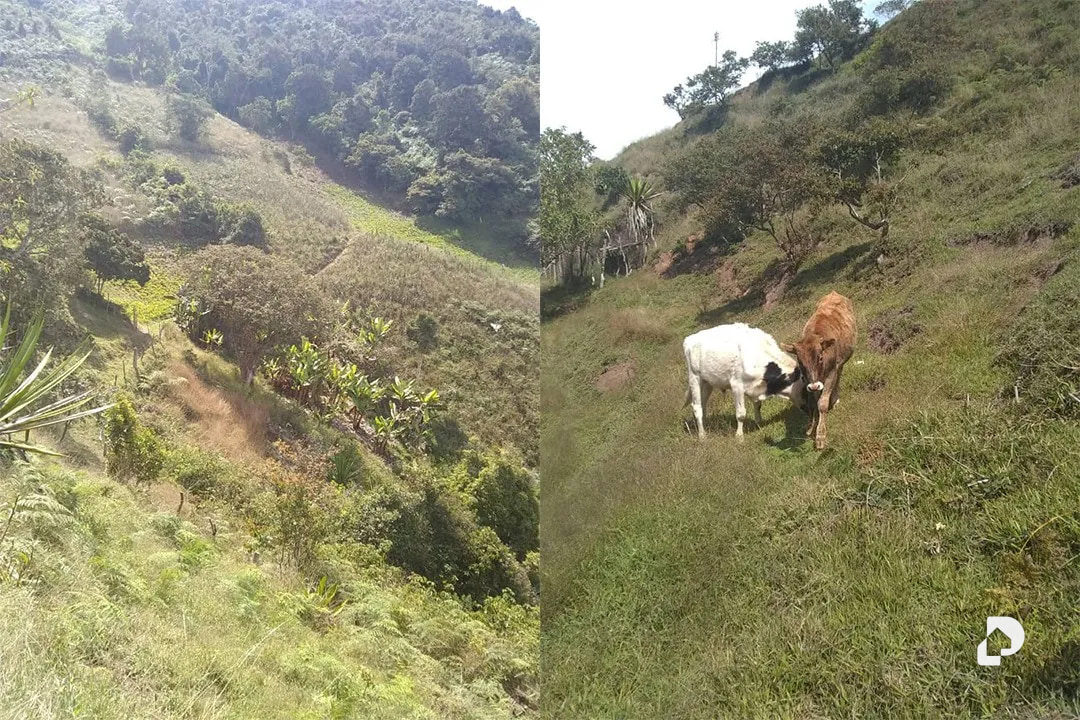 Farm in La Trampa – 3