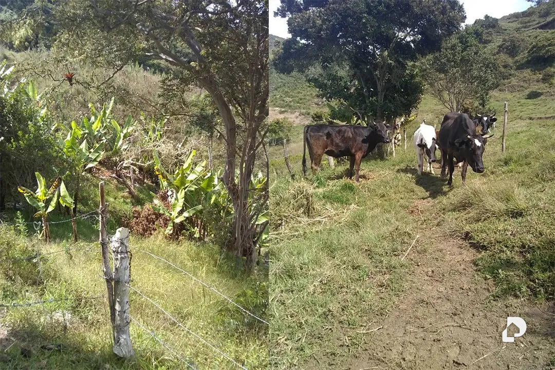 Farm in La Trampa – 5