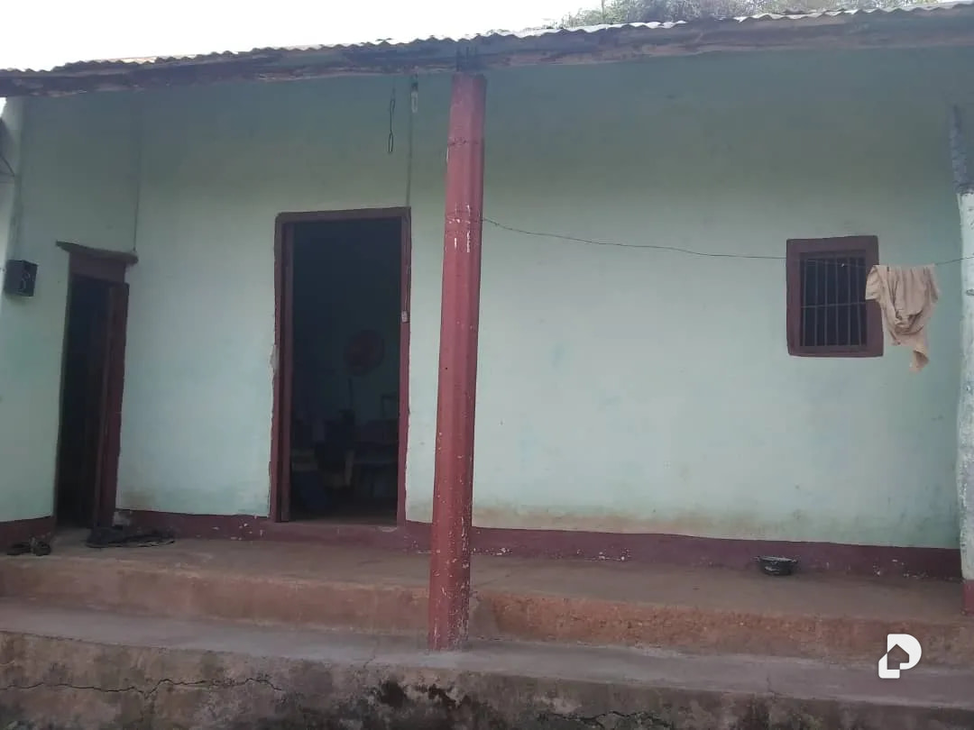 Farm in La Trampa – 7