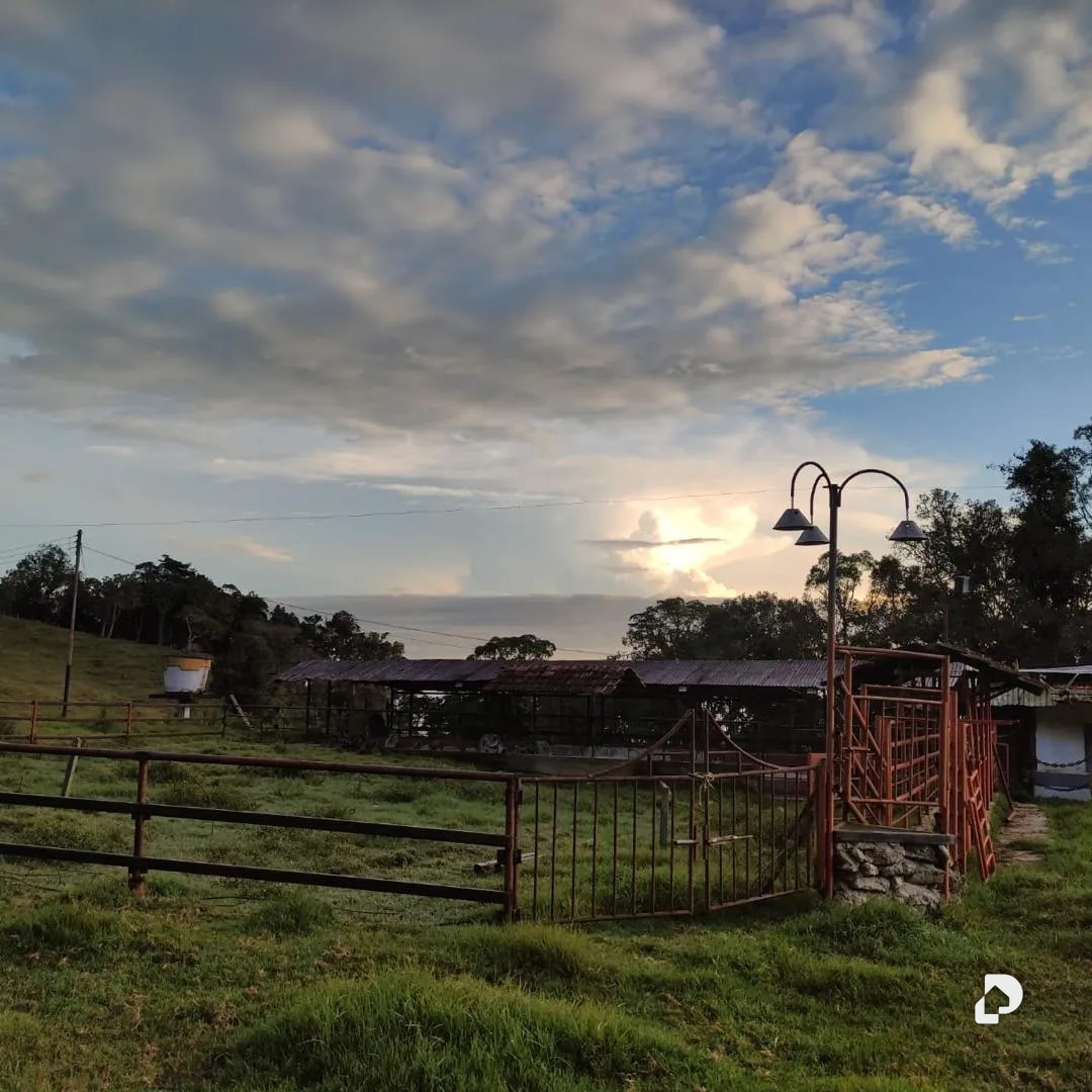 Farm in La Azulita – 4