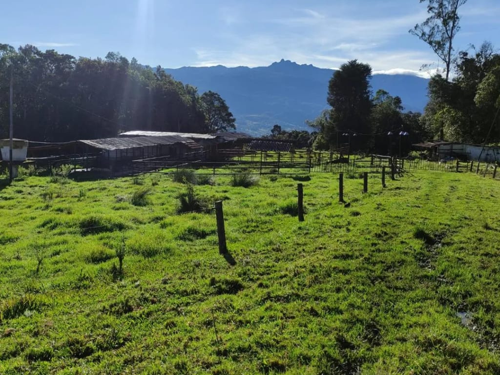 Finca en La Azulita - 1