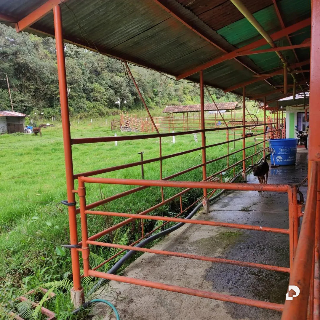 Farm in La Azulita – 9