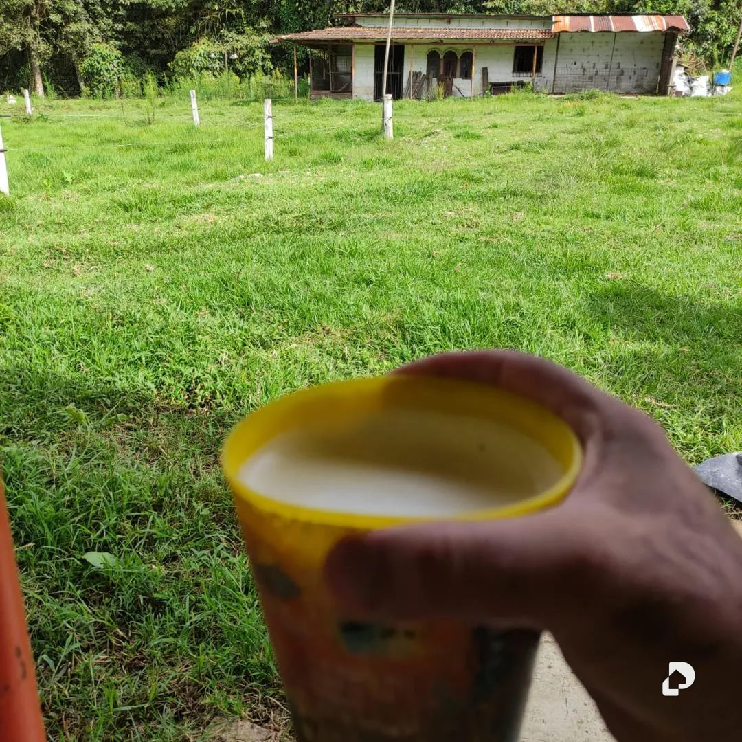 Farm in La Azulita – 13