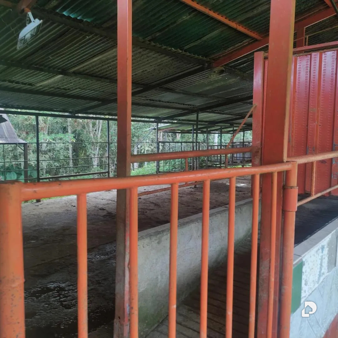 Farm in La Azulita – 7