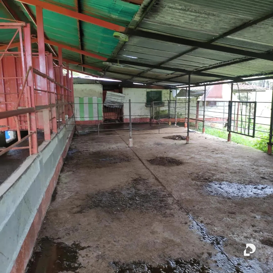 Farm in La Azulita – 8